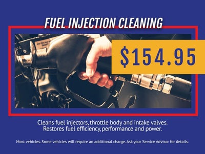 FUEL INJECTION CLEANING