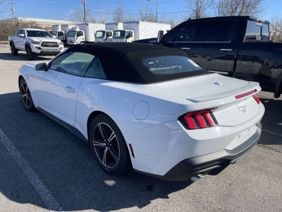 2024 Ford Mustang EcoBoost