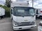 2024 Chevrolet Low Cab Forward 5500 XG 5500