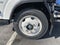 2024 Chevrolet Low Cab Forward 5500 XG 5500