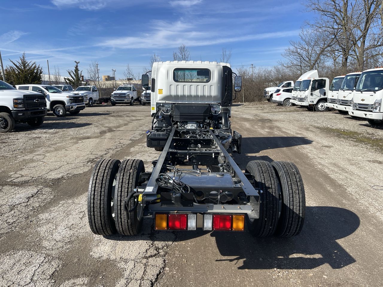 2024 Chevrolet Low Cab Forward 5500 HD 2WD Reg Cab 176