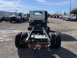 2024 Chevrolet Low Cab Forward 5500 HD 2WD Reg Cab 150