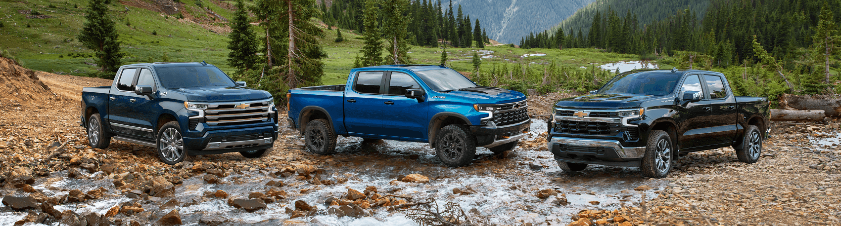 Chevy Silverado 1500 Trim Levels Lansing MI
