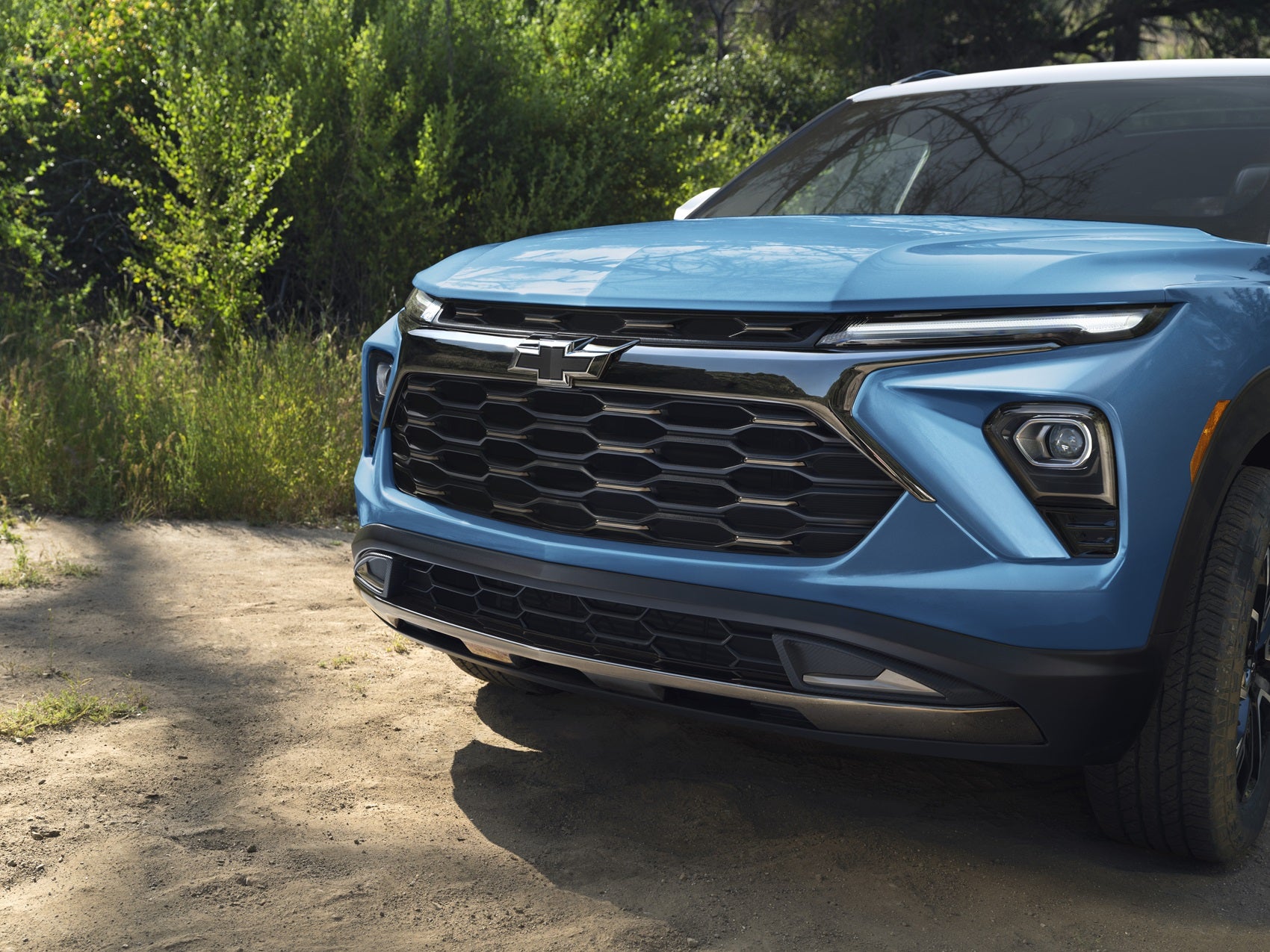 Car Dealer near Mason MI