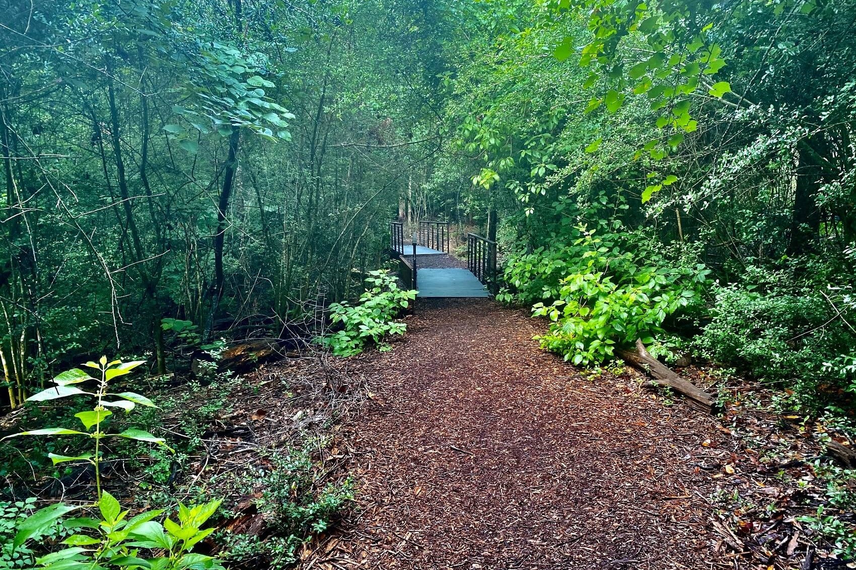Chevy Dealer near East Lansing MI
